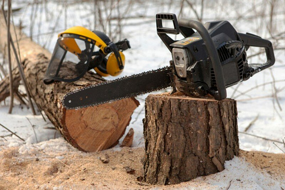 В Фурмановском районе задержали «черного лесоруба»-рецидивиста